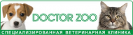 Doctor Zoo